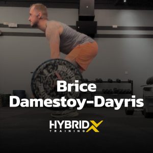 Brice Damestoy Dayris