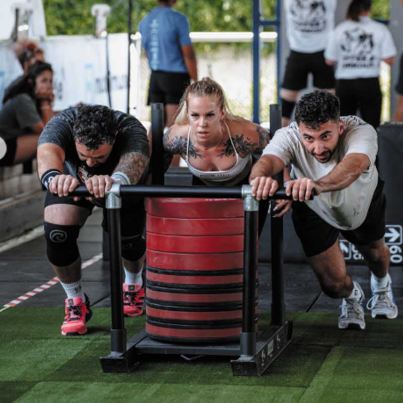 Sled fit&rack